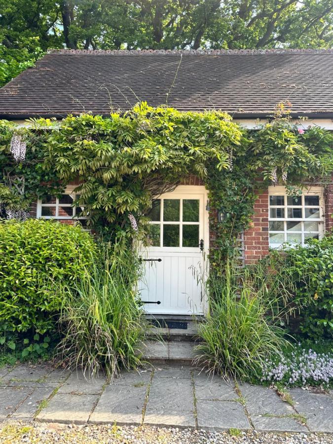 Peaceful Cottage With Private Garden Hailsham Exteriér fotografie