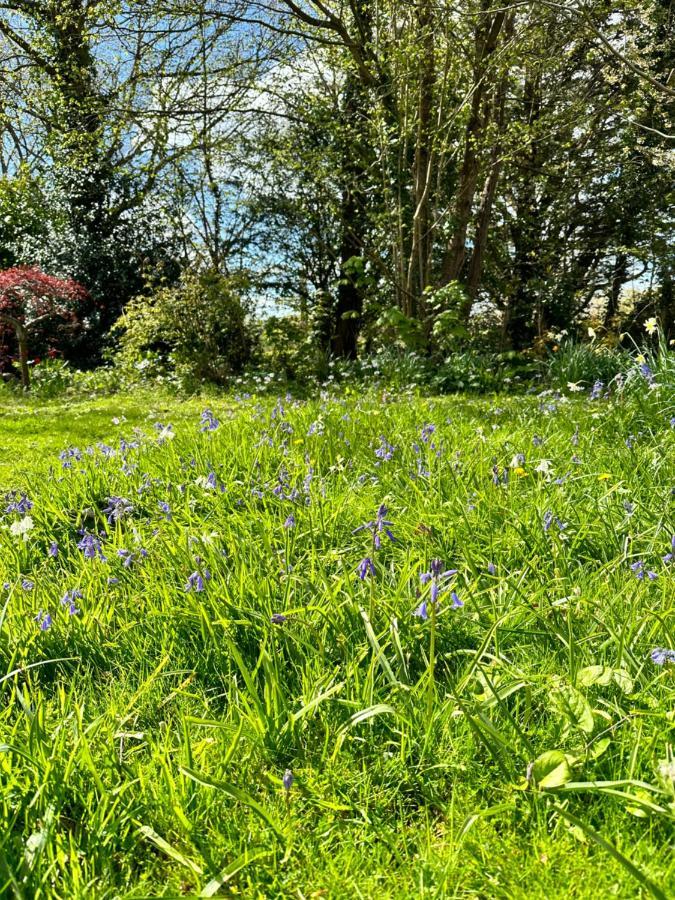 Peaceful Cottage With Private Garden Hailsham Exteriér fotografie